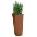 Accessories Corten Steel Planters